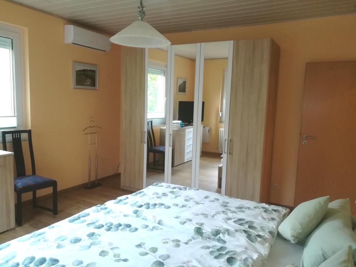 Nichtraucherferienwohnung-Neckarblick Ze-2022-74-Wz-118A Heidelberg Exteriér fotografie