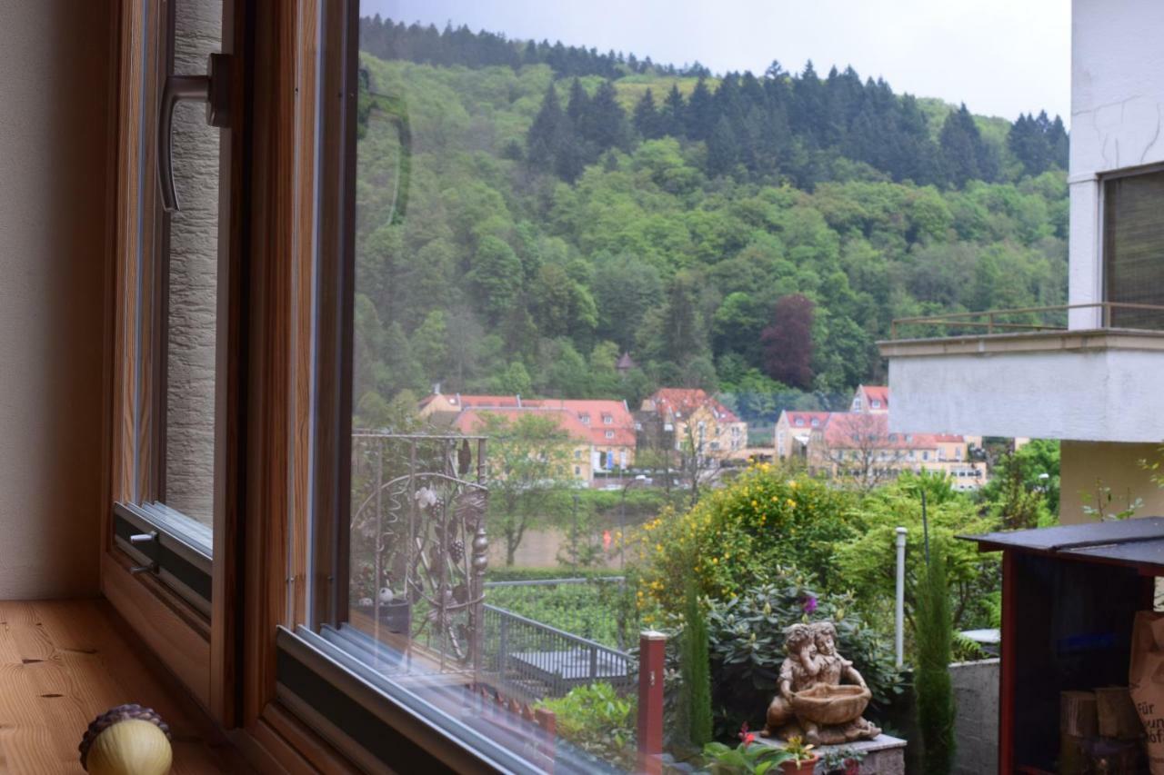 Nichtraucherferienwohnung-Neckarblick Ze-2022-74-Wz-118A Heidelberg Exteriér fotografie