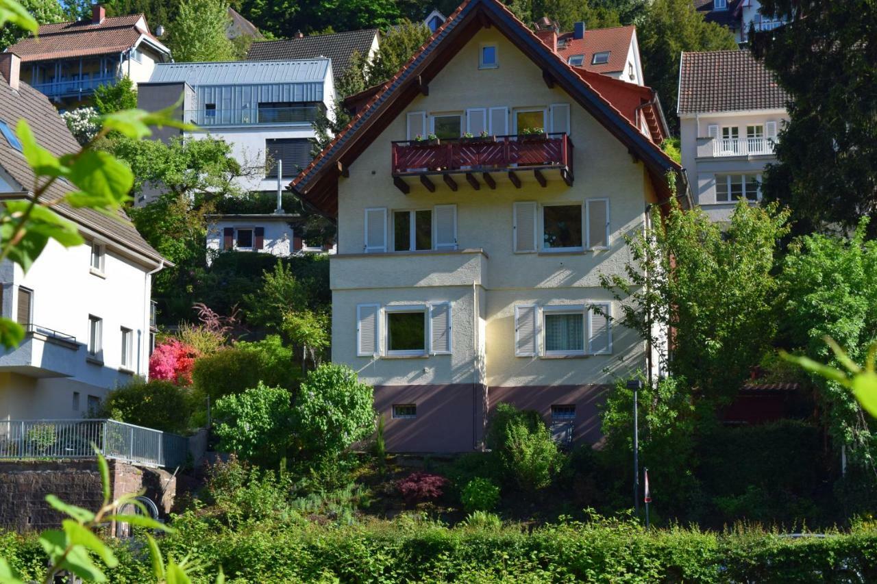Nichtraucherferienwohnung-Neckarblick Ze-2022-74-Wz-118A Heidelberg Exteriér fotografie