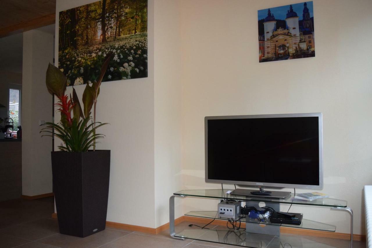 Nichtraucherferienwohnung-Neckarblick Ze-2022-74-Wz-118A Heidelberg Exteriér fotografie