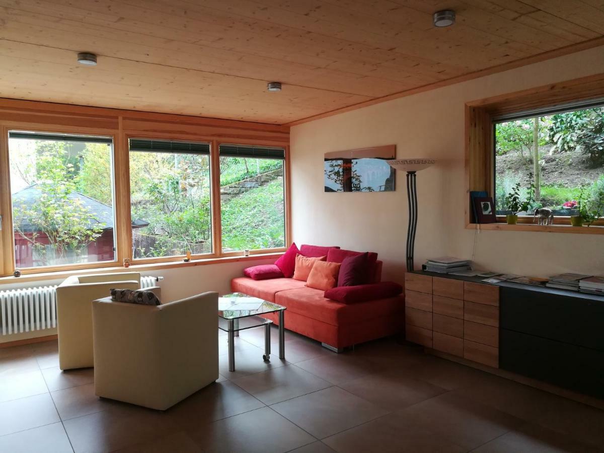 Nichtraucherferienwohnung-Neckarblick Ze-2022-74-Wz-118A Heidelberg Exteriér fotografie